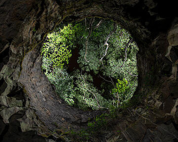  Durch uralte Schächte geht es hinab in das Innere des Lavastromes © Marc Hillesheim, Olaf Kaul