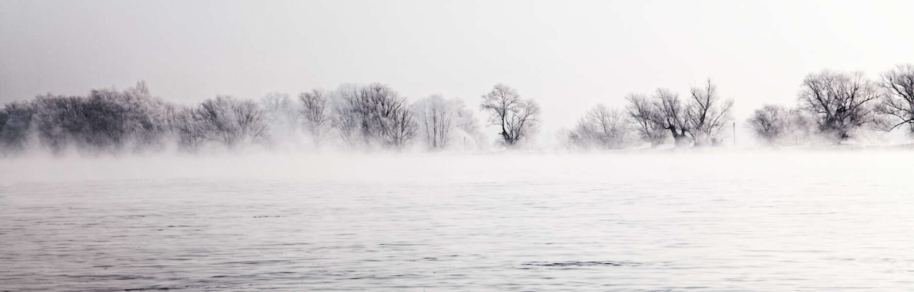 Opaque 0427, Deutschland, 1995