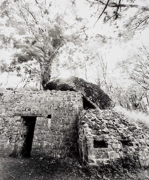 Hartmannswillerkopf #03