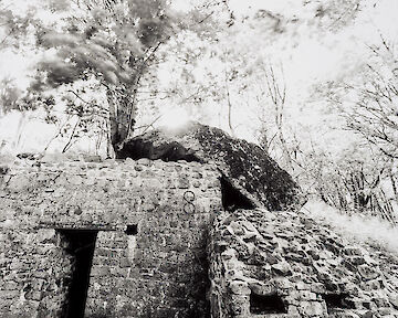  Hartmannswillerkopf #03 © Tobias D. Kern