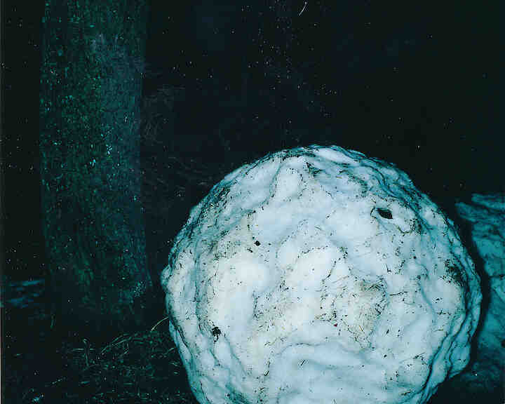  1983 © Manfred Willmann