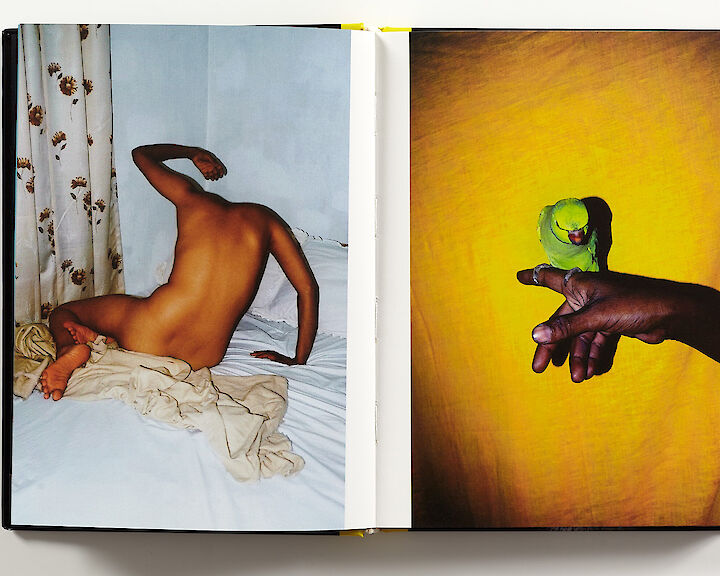  Sohrab Hura: The Coast 