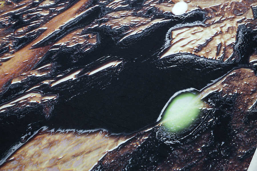 Lito Kattou, San Point Centre for Contemporary Art, 2018. Skins Feathers VIII, 2018. Detail Photo